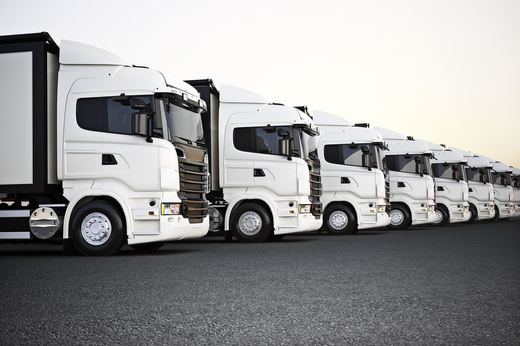Empowering Transport Operators: The Roadsteer Vision for Safer, Smarter Compliance